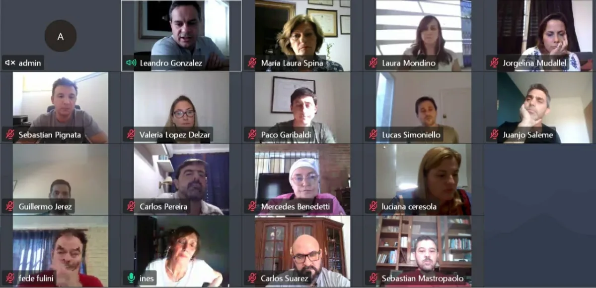 Telereunión plenaria en el Concejo: se generaron propuestas ante la emergencia