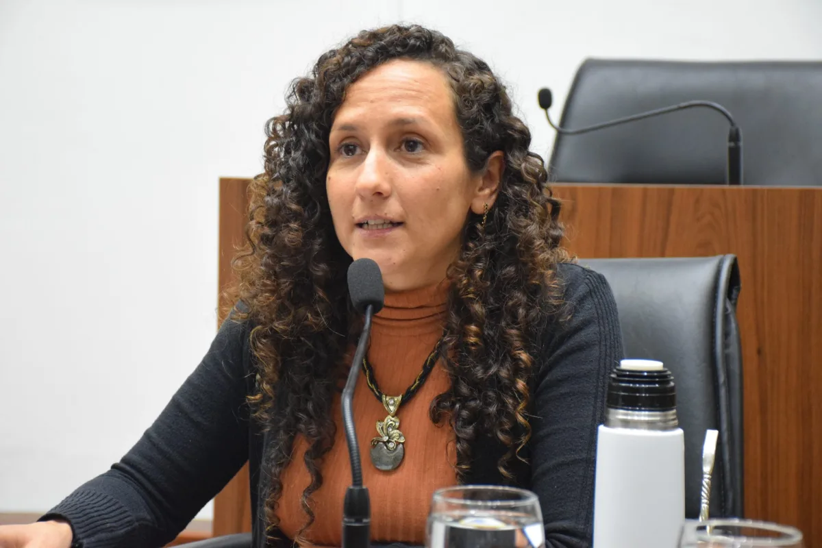 El Concejo pide que se garantice la atención pediátrica en Santa Fe