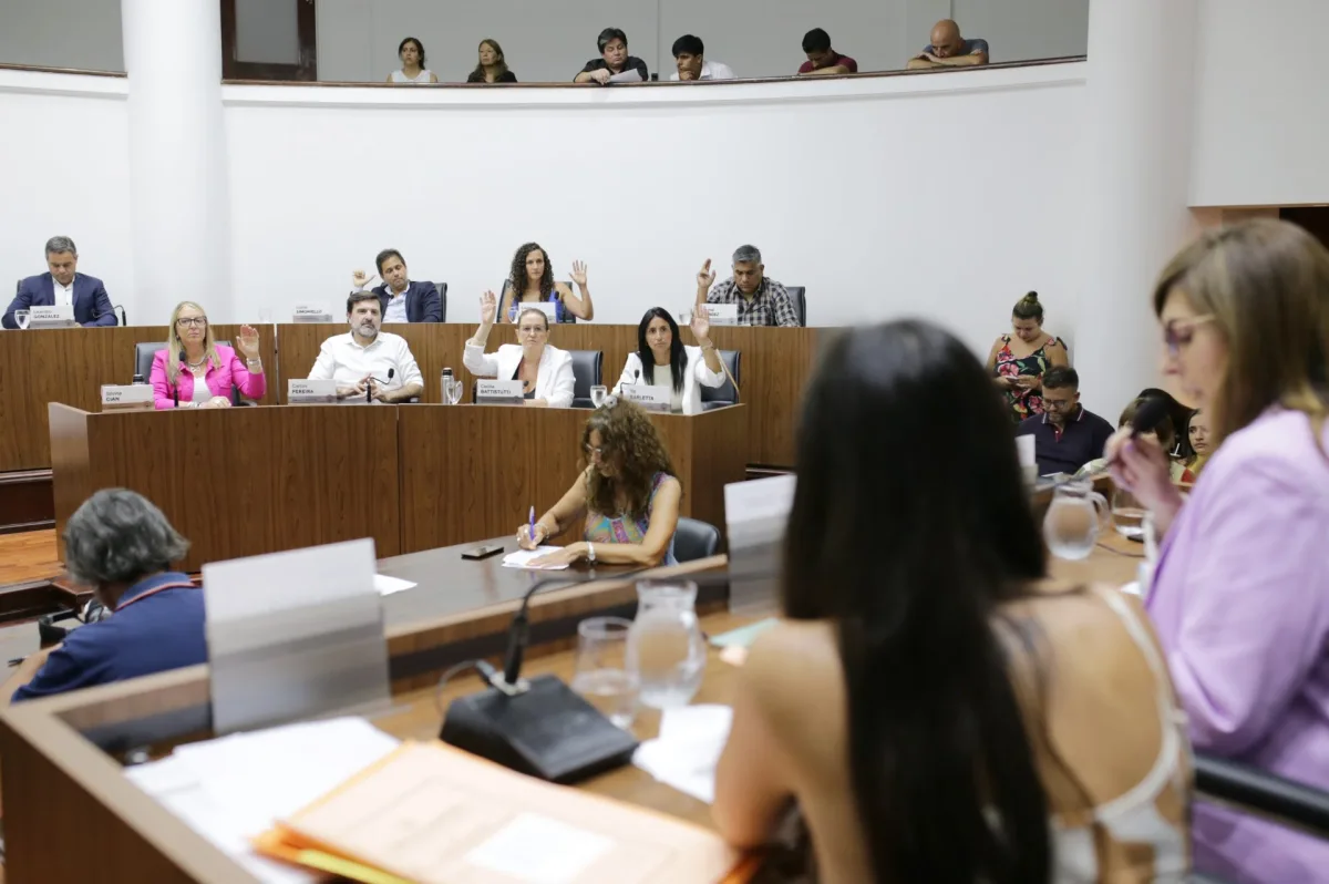 El Concejo Municipal conformó los órganos de control