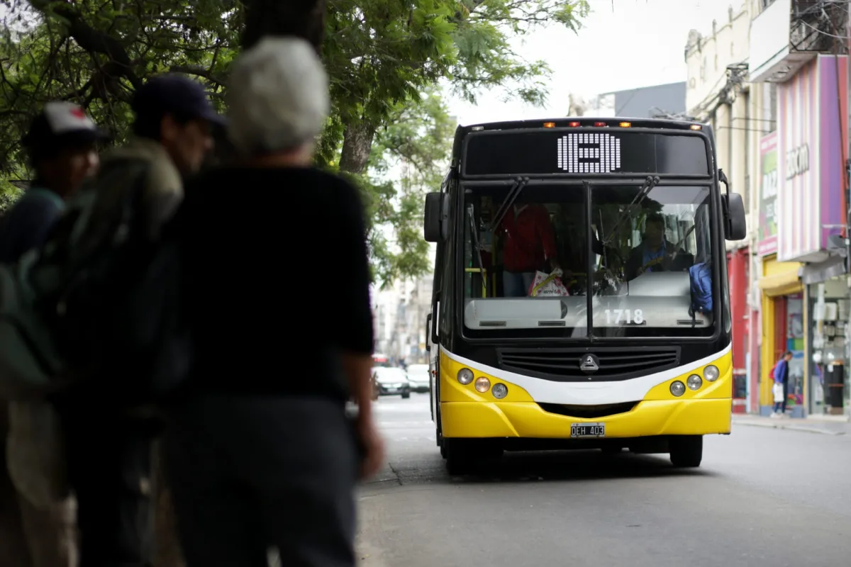 Cuando pasa: piden al Ejecutivo estudios para actualizar la app de transporte público