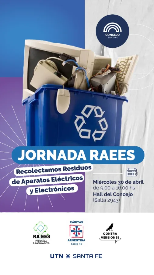 Jornada RAEES