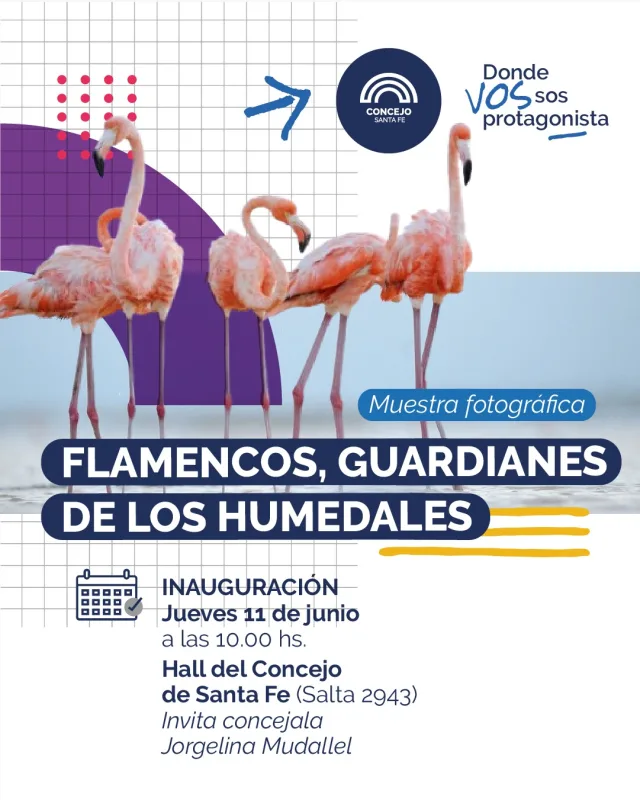Muestra fotográfica: "Flamencos, guardianes de los humedales"