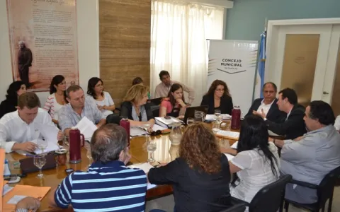 Presupuesto 2014: La Secretaria de Hacienda concurrió al Concejo