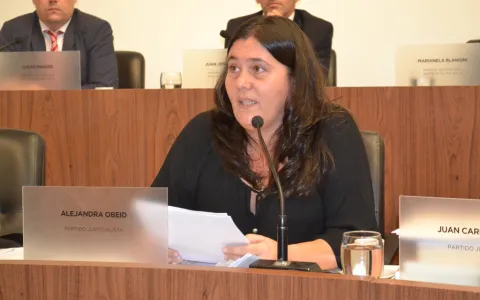 El Concejo aprobó el Programa de Promotores Comunitarios de Salud