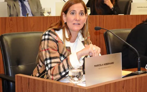 Solicitan la creación de convenios para prácticas profesionalizantes