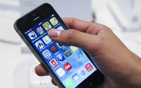 Buscan crear una aplicación de celular para realizar denuncias y reclamos