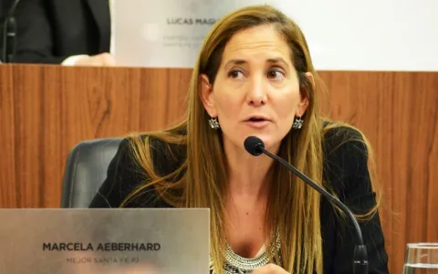 El Concejo solicitó al Intendente Corral que convoque al Consejo de Seguridad Urbana