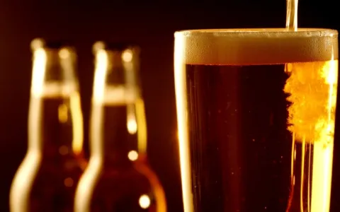El Concejo reglamentó el rubro de elaboración de cerveza artesanal