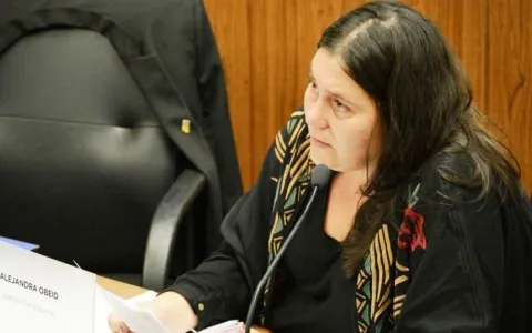 Piden  saber en qué condición actual se encuentra la Biblioteca Municipal Enrique Muttis