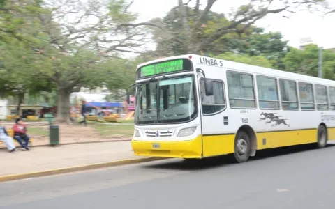 El Concejo solicitó cubrir una vacante en el Órgano de Control del Transporte