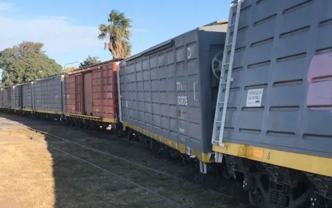 Convocan a funcionarios del Belgrano Cargas por descarrilamientos de formaciones ferroviarias