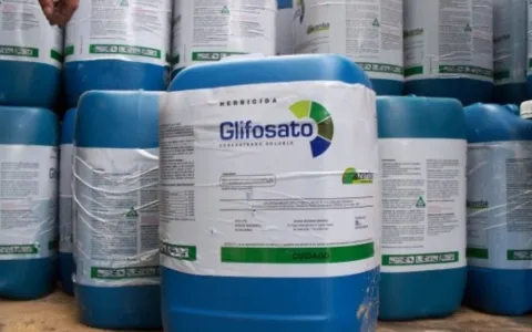 En todo el territorio de la ciudad: el Concejo Municipal prohibió la utilización y venta del herbicida Glifosato