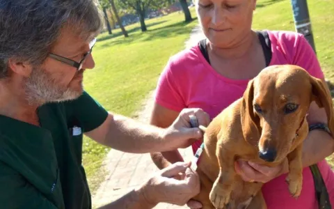 Solicitan una “casa de las mascotas” en la zona norte de la ciudad