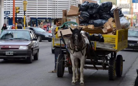 Solicitan completar el programa de reemplazo de vehículos de tracción a sangre
