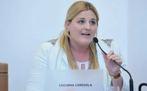 Solicitan reforzar la seguridad en efectores públicos de salud