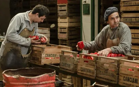 Mercado de Abastecedores: convocan a funcionarios de Control Municipal