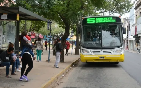 El transporte por colectivo será gratuito el día de las elecciones generales provinciales