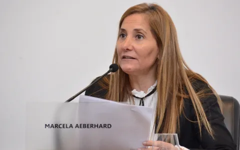 Establecerán un día festivo anual para cada una de las avenidas comerciales de la ciudad