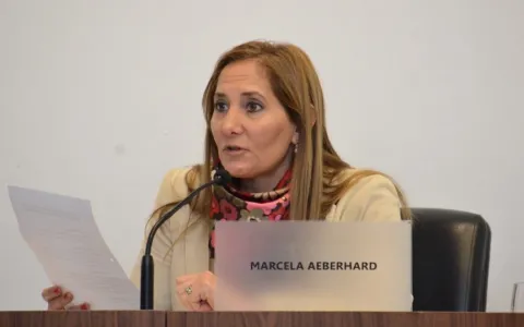 Piden informes por sistema de traslado Uber