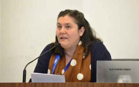 El Concejo sancionó la creación de un Centro Municipal de Atención a la Mujer