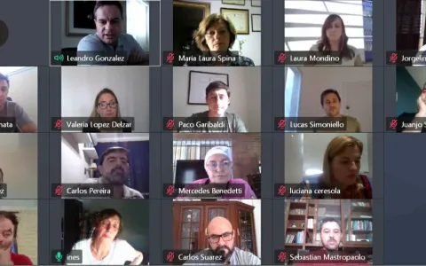 Telereunión plenaria en el Concejo: se generaron propuestas ante la emergencia