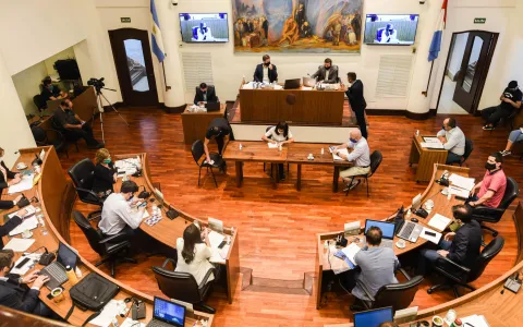 Programa de Voluntariado: concejales destacan el trabajo junto al municipio