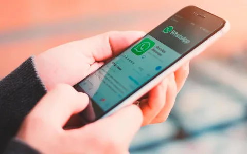 El Concejo llevará adelante una capacitación sobre Whatsapp para Negocios