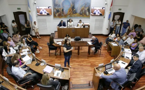 Sesión extraordinaria: el Concejo aprobó los mensajes enviados por el Ejecutivo Municipal