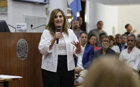 Concejo Conectado: se presentaron los ejes del Plan Estratégico 2024