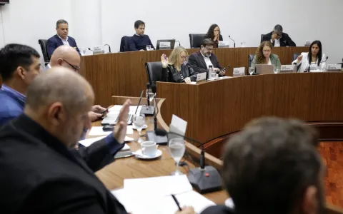 El Concejo adhirió a la Ley Yolanda