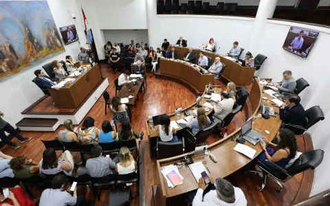 El Concejo establece el “Día en recuerdo de las víctimas de siniestros tránsitos”