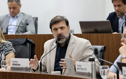 La ciudad tendrá un Paseo de las Colectividades gracias a la iniciativa ciudadana