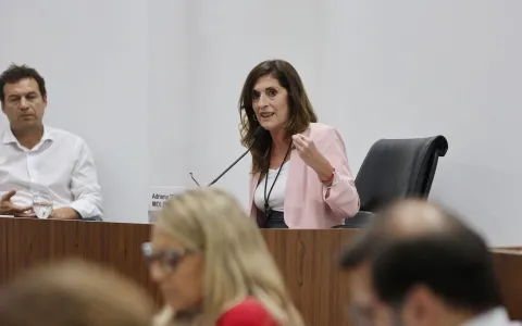 Chuchi Molina sobre la Reforma Constitucional: “Hay más poder para la ciudadanía”