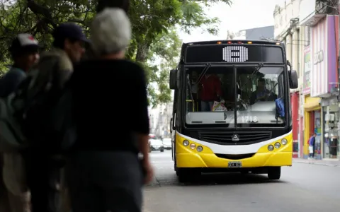 El Concejo solicitó información al Municipio sobre el funcionamiento del sistema de colectivos