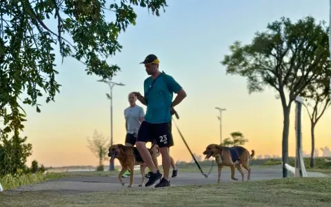 Santa Fe avanza en más protección y cuidado para los animales de compañía