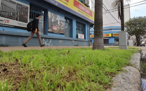 Habilitan a comercios a utilizar la cinta verde para colocar cartelería